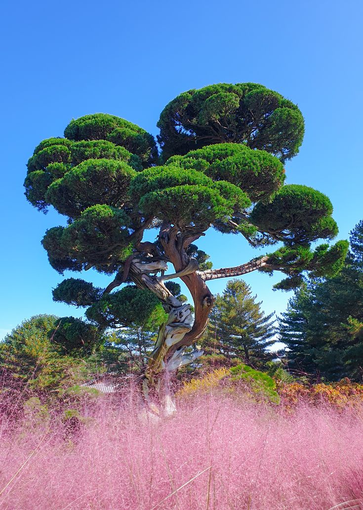 국립중아침고요수목원 (가평군)앙박물관