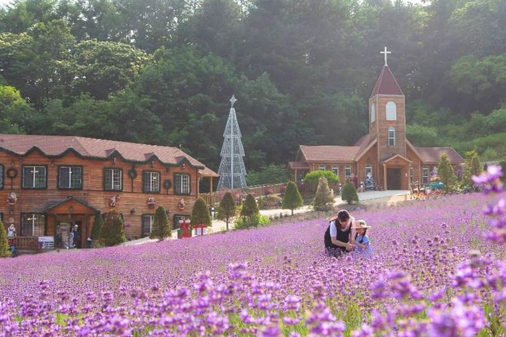 허브아일랜드 (포천시)