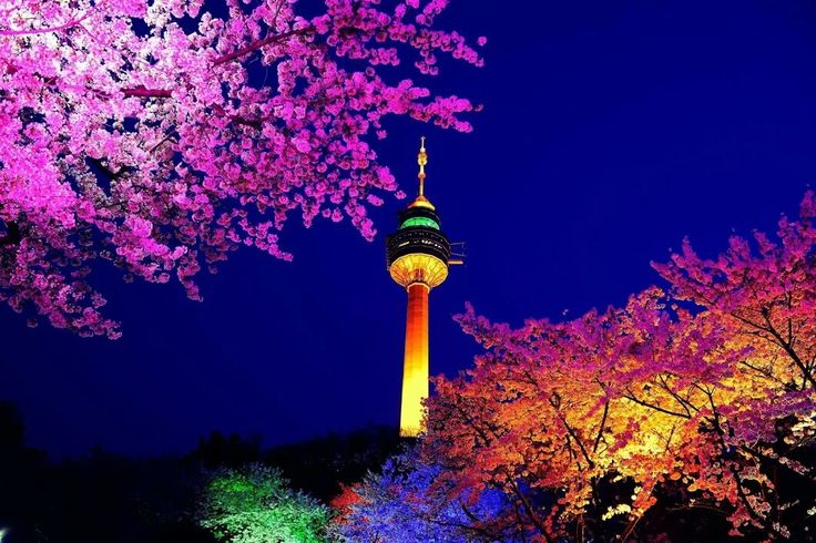 83타워 & 이월드