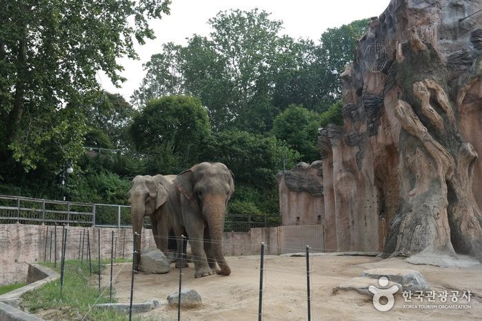 서울 어린이대공원