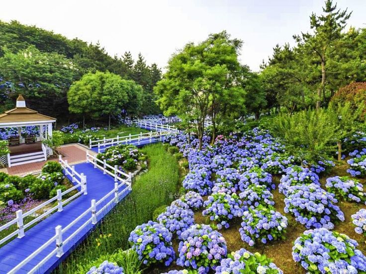 장생포 고래문화마을