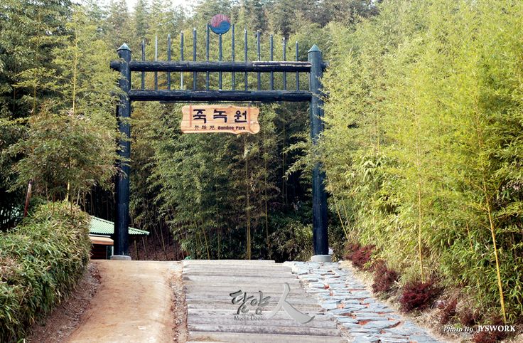 담양 죽녹원 (전남)